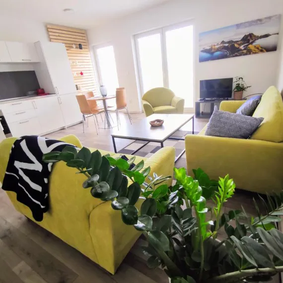 comfort apartment